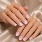 Silky BabyBoomer