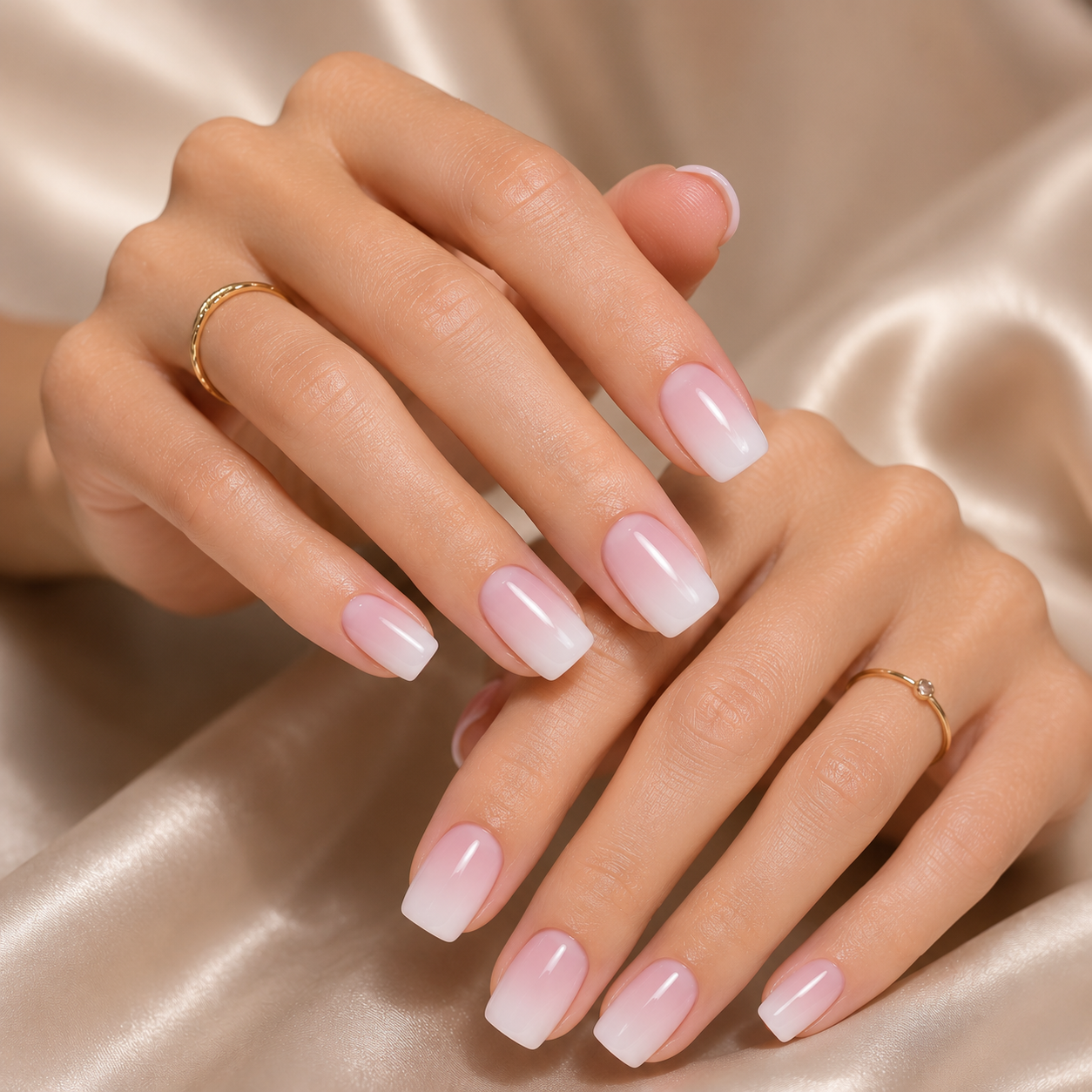 Silky BabyBoomer
